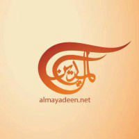 Al Mayadeen Media Network