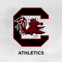 South Carolina Gamecocks logo