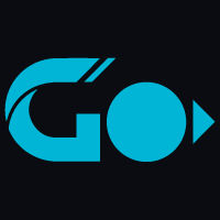 GSP Global Security Protection