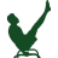 Online Calisthenics Coach