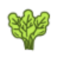 Spinach21