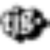 Tjg. Theater Junge Generation