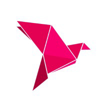 BKash Limited logo