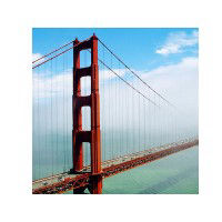 Belgian Club Of Northern California