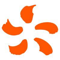 Exaion logo