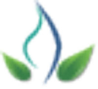 KRONOS ENERGY S.A.S. E.S.P