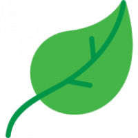 Green Oasis Landscaping logo