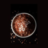 Salty Down Under logo