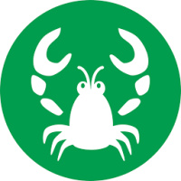 Lobster