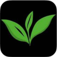Pure Leaf