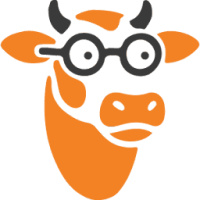 One Orange Cow