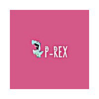 P-REX Hobby