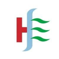 Hensen System Engineering Ltd. logo
