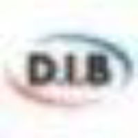D.I.B Audiovisual
