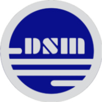 Dsm Tech Services