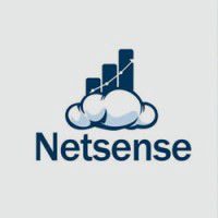 Netsense Business Solutions Asia