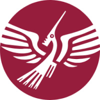 Software Development Aegona Ltd logo