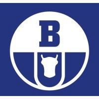 Boryszew Sa, Boryszew Erg Branch