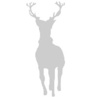 Silverlight Research