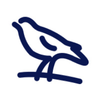 West Bromwich Albion Football Club