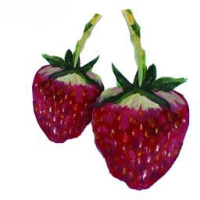 Edible Eden Design