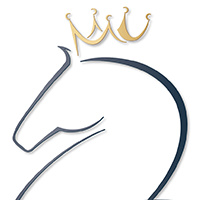 DINA Lawyers logo