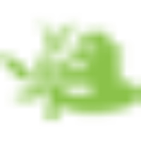 Yoga Therapy Foundation