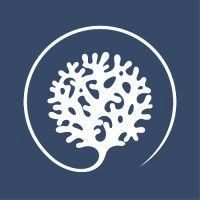 Blucap.health logo