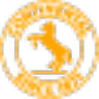 Veyance Technologies, Inc (Continental ContiTech)