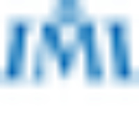 International Management Institute - Imi