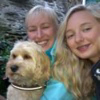 Commercial Aircraft Support Limited