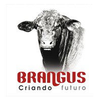 Asociacion Argentina De Brangus