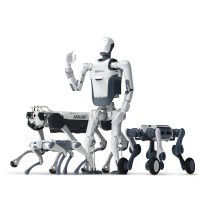 Deep Robotics