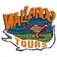 Wallarootours.com.au