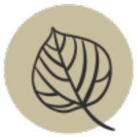 Revival Medi Spa logo