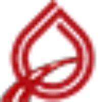 Western Carriers Transport