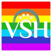 VSH Hong Kong