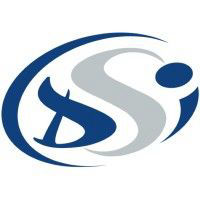 DSI Entreprise Adaptée Et Solidaire