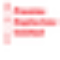 Premier Explosives Ltd.