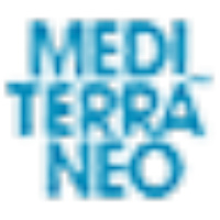 Fundación Mediterráneo (Oficial)