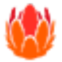 Liberty Latin America