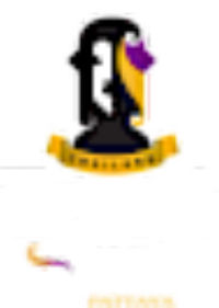 Tiffany'S Show Official Site