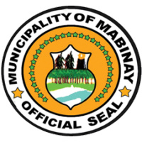 lgu-mabinay.com