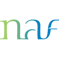 The Netherland-America Foundation logo