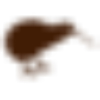 The Kiwi Importer