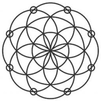 Good Vibes Lab