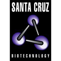 Santa Cruz Biotechnology