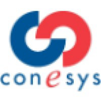 Conesys