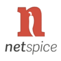 Netspice GmbH & Co K.G. logo
