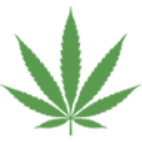 CBD Kratom